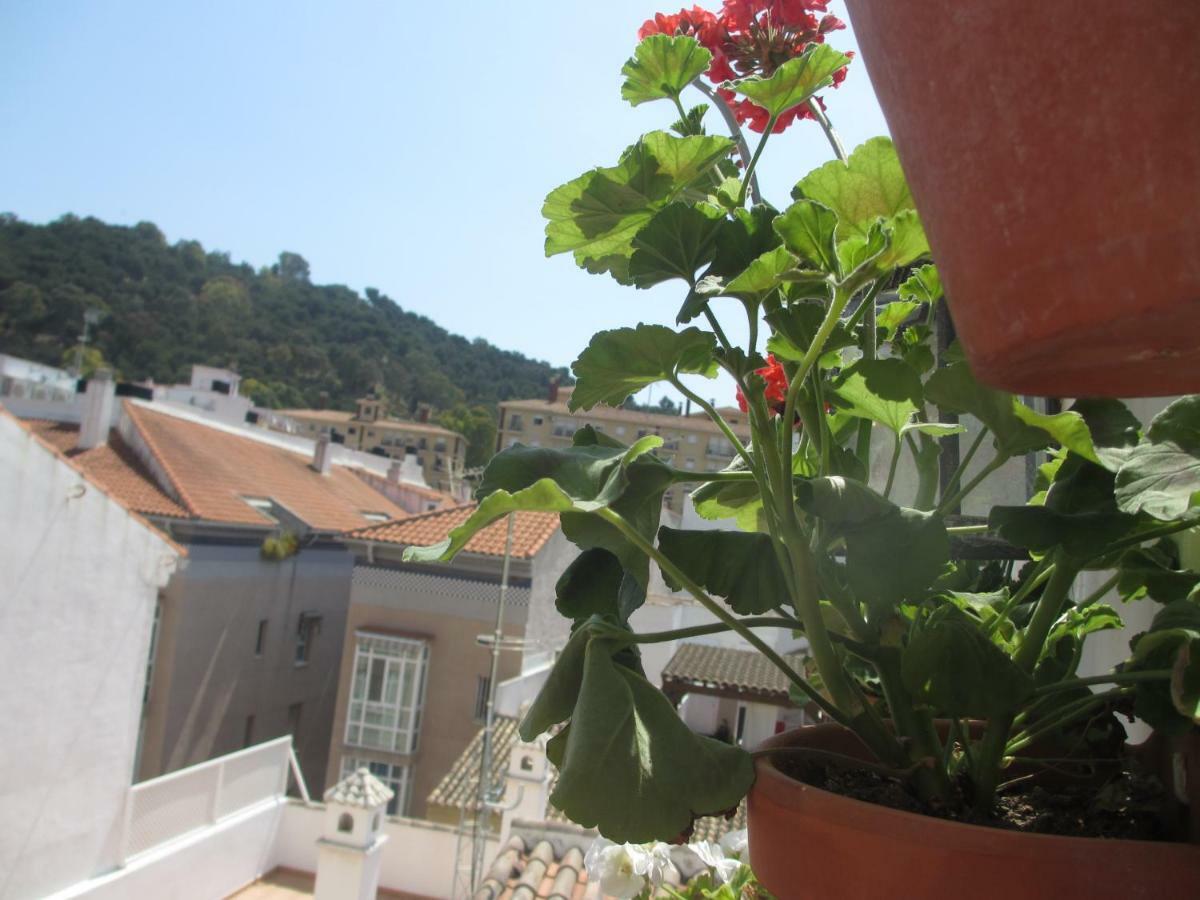 Apartmán Junto A La Casa Natal De Picasso Màlaga Exteriér fotografie